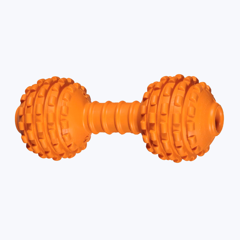 Dumbbell toy for dog