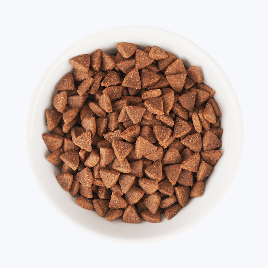 Food for puppy