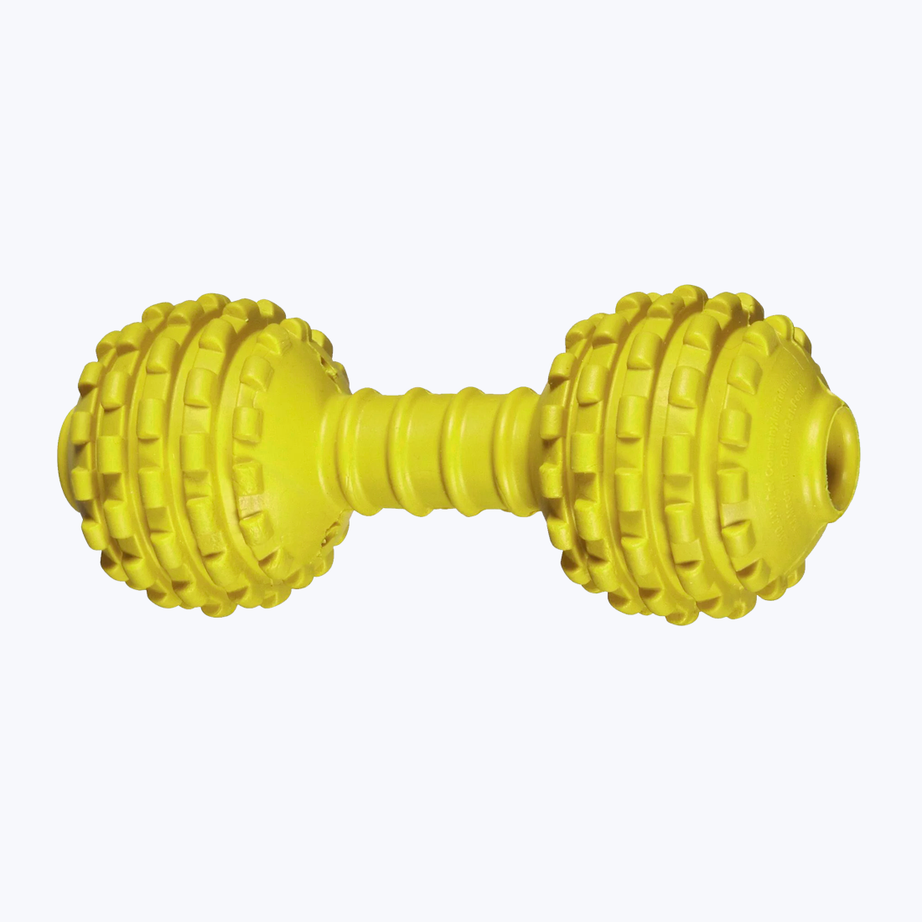 Dumbbell toy for dog