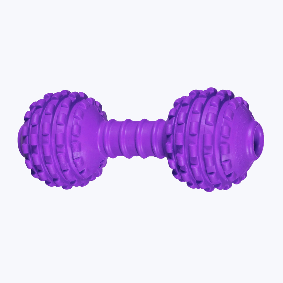 Dumbbell toy for dog