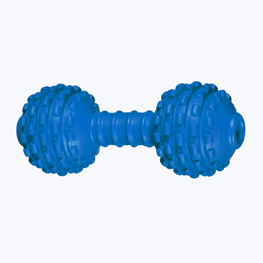 Dumbbell toy for dog