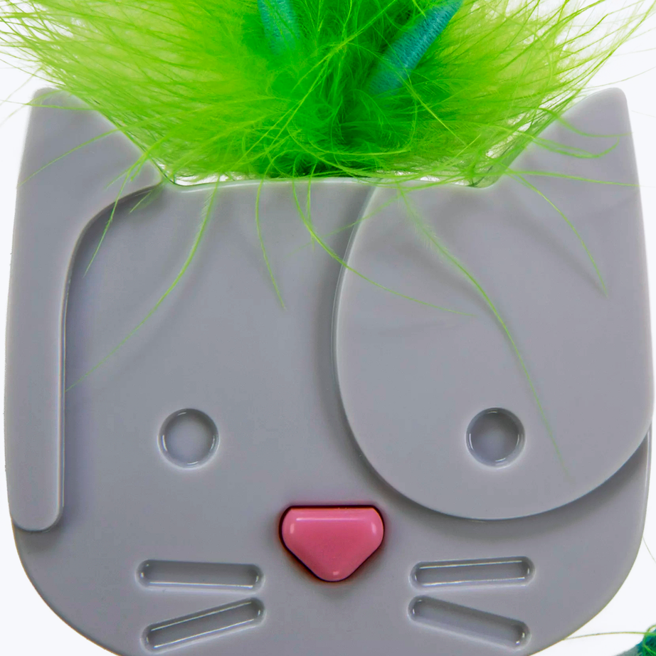 Teaser for cat