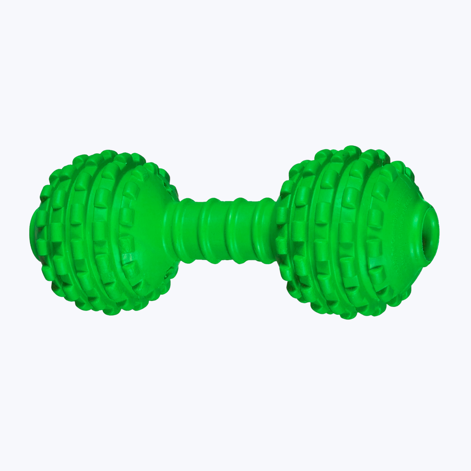 Dumbbell toy for dog