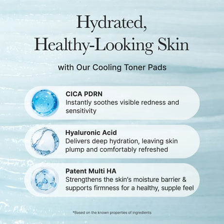 Arencia - PDRN Hyaluronic Deep Hydration Pad 90's / 200ml