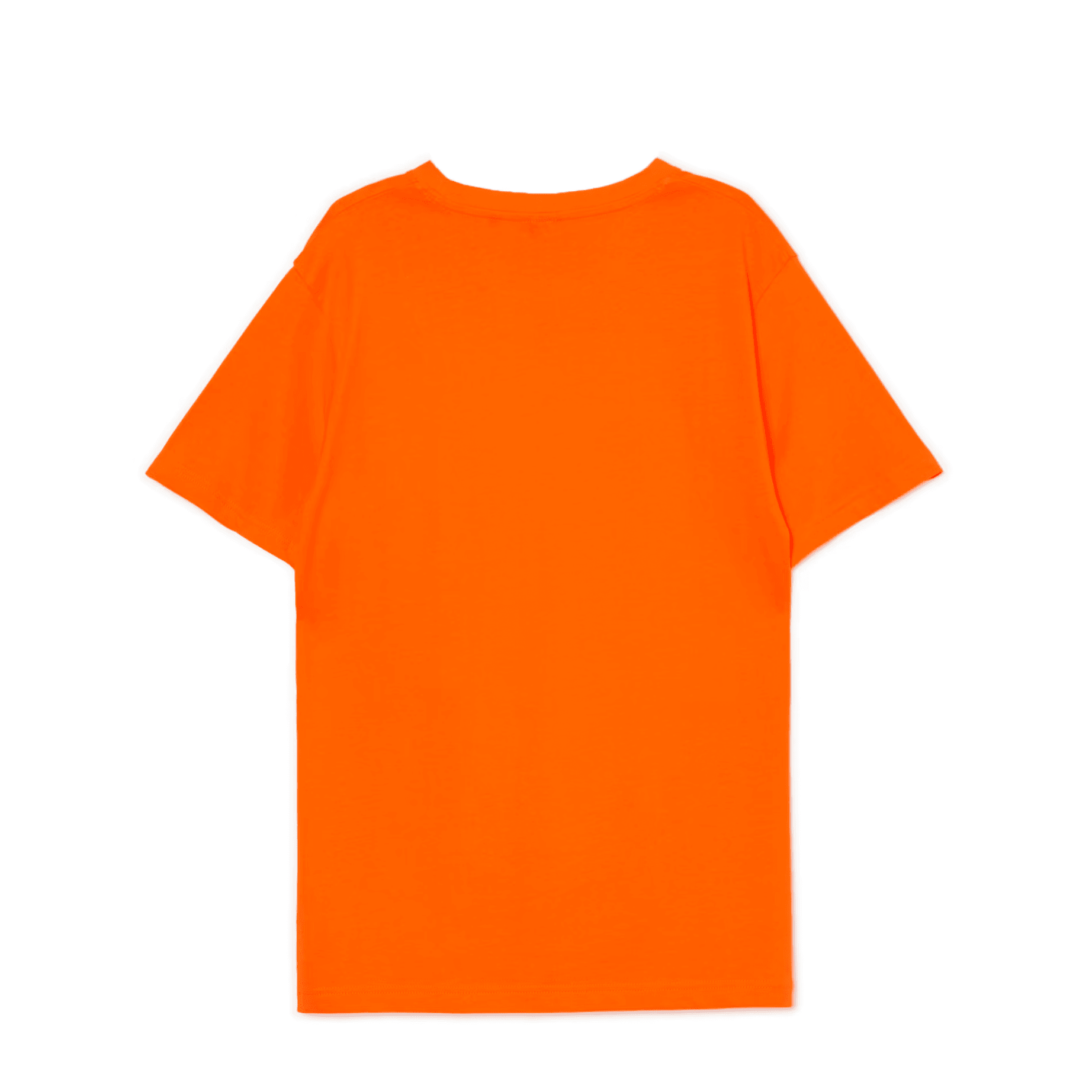 Basic T-shirt